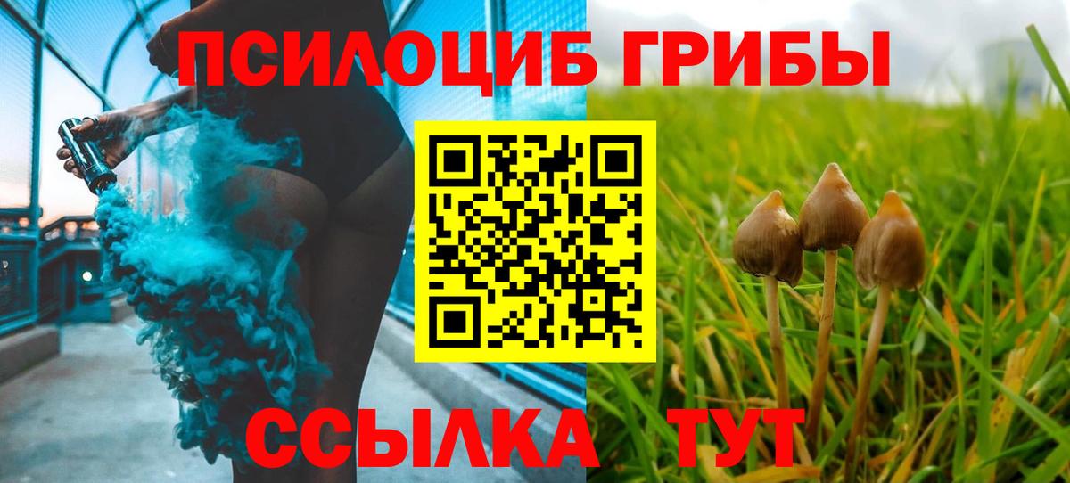 Псилоцибиновые грибы Magic Shrooms Миллерово